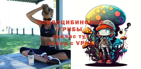 меф Белокуриха