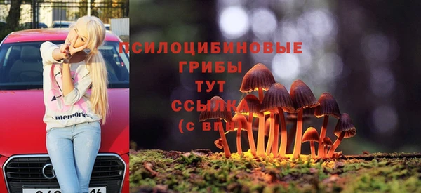 дурь Белоозёрский