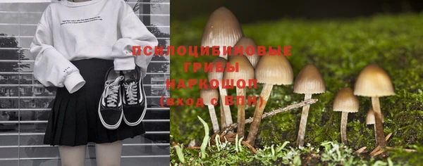 дурь Белоозёрский