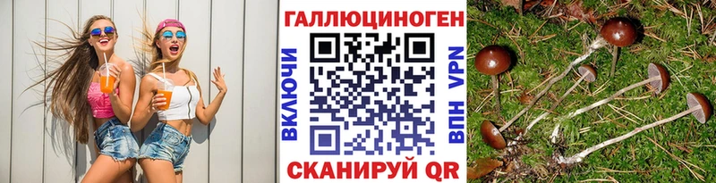 Псилоцибиновые грибы мухоморы  закладки  Белоозёрский 