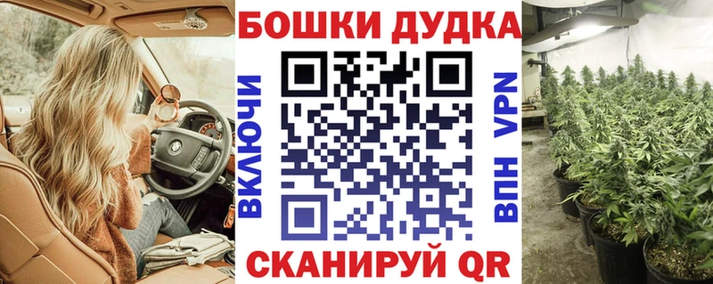 Бошки Шишки гибрид Белоозёрский
